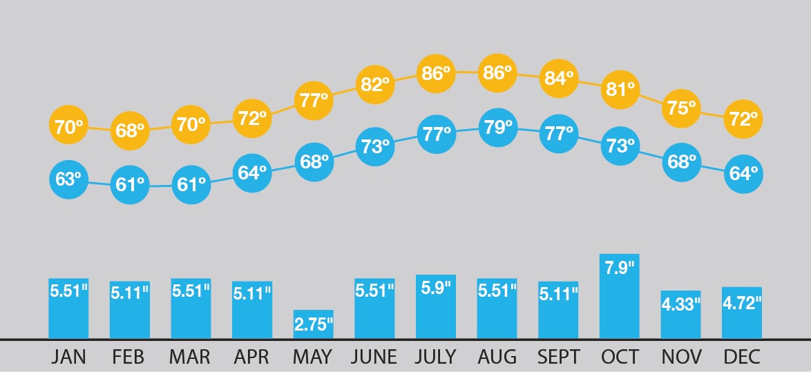 Forecasting Your Bermuda Vacation